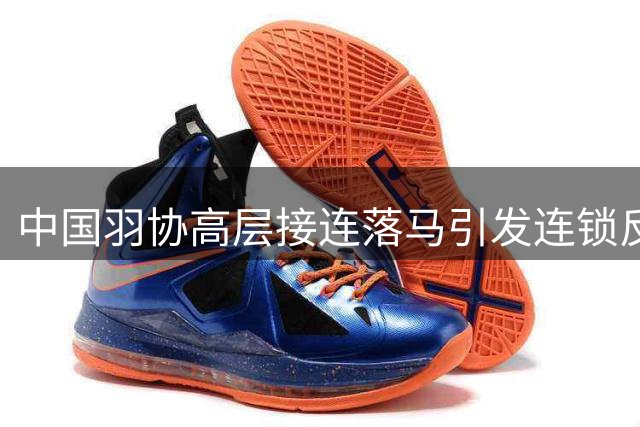 中国羽协高层接连落马引发连锁反应 蔡振华意外成焦点